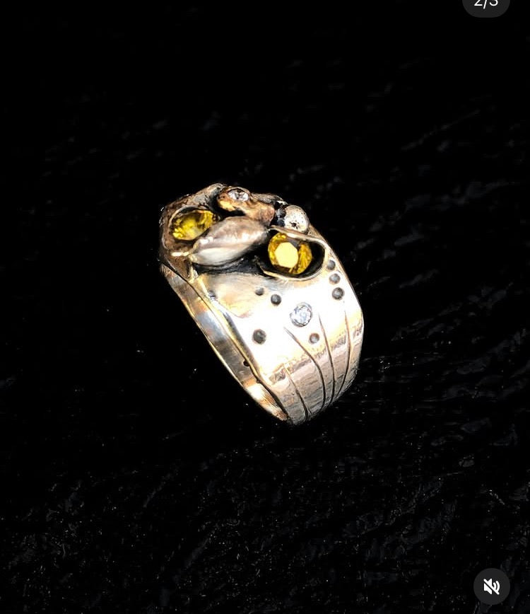PELAGIA ring angled view